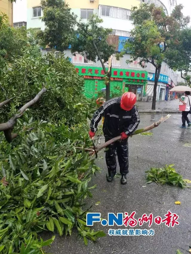 一线剪影：防台风 他们在坚守