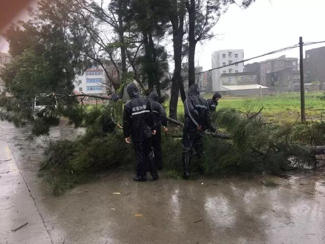 一线剪影：防台风 他们在坚守