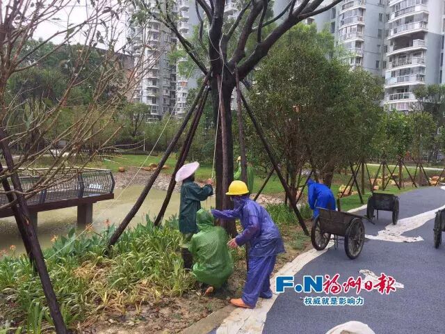 一线剪影：防台风 他们在坚守