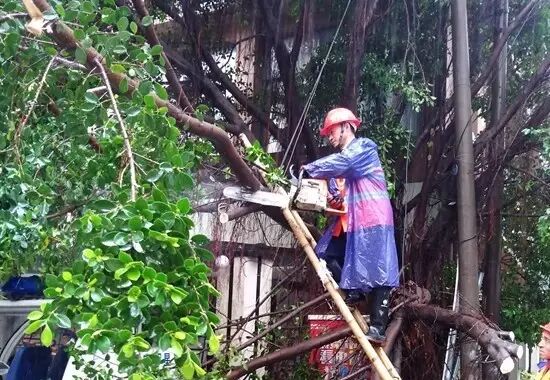 一线剪影：防台风 他们在坚守