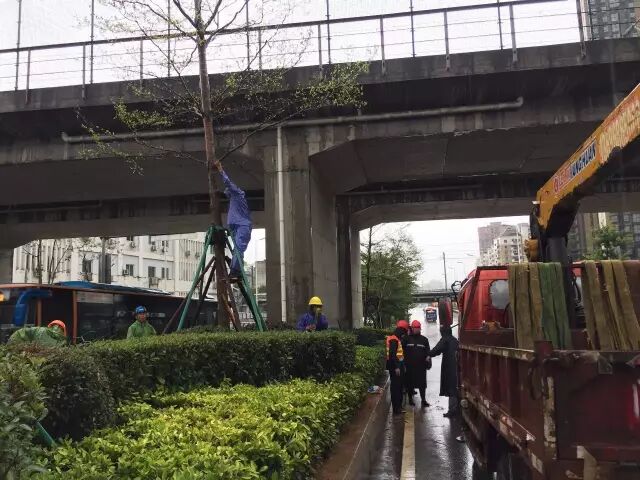 一线剪影：防台风 他们在坚守