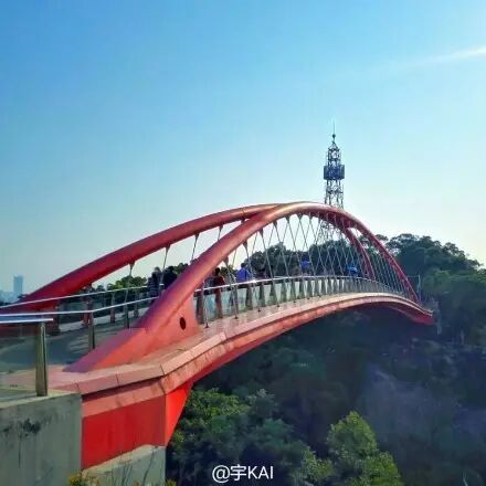点击查看大图