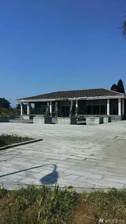 点击查看大图