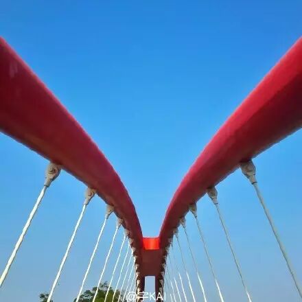 点击查看大图