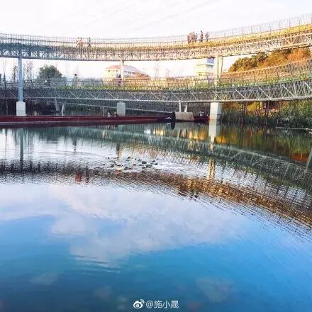点击查看大图