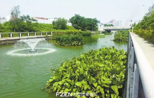 点击查看大图