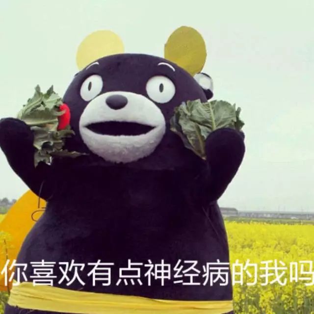 点击查看大图