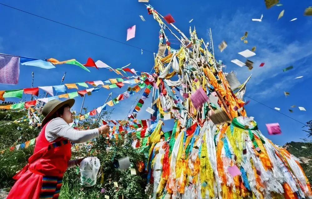 寻梦河西走廊：在祁连山下寻找一朵盛开的幽兰