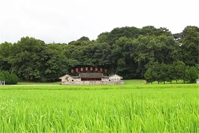 点击查看大图