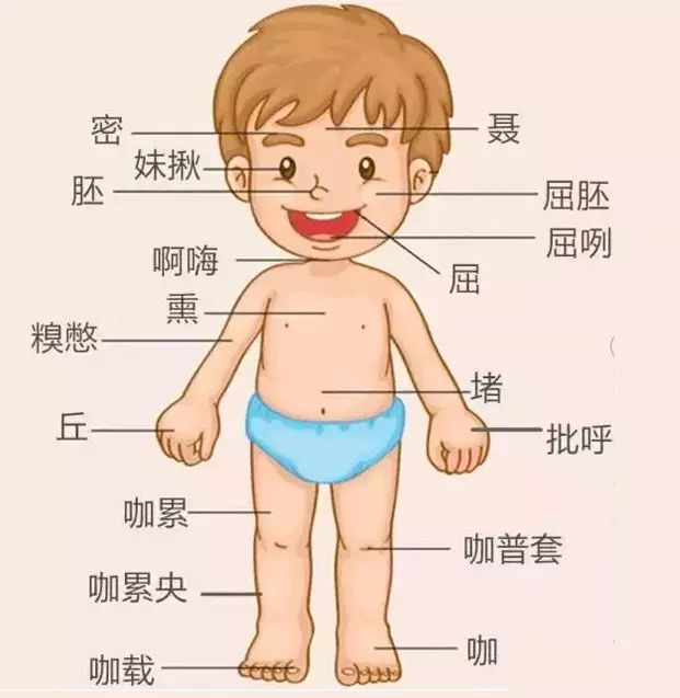 点击查看大图