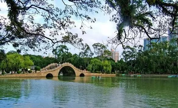 点击查看大图