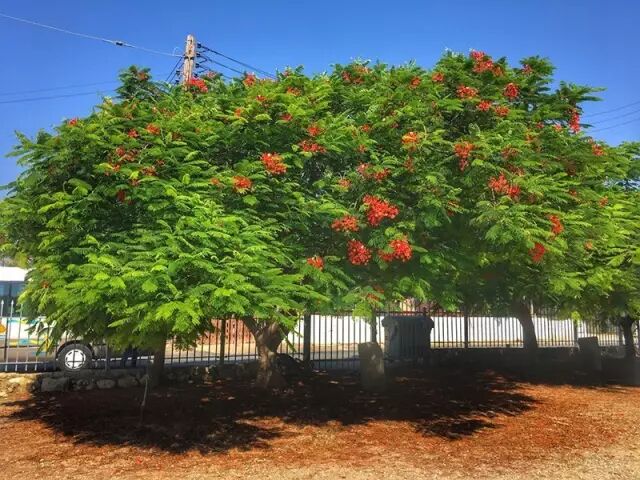 塞浦路斯登陆日记:我们就在帕福斯不走了!_第