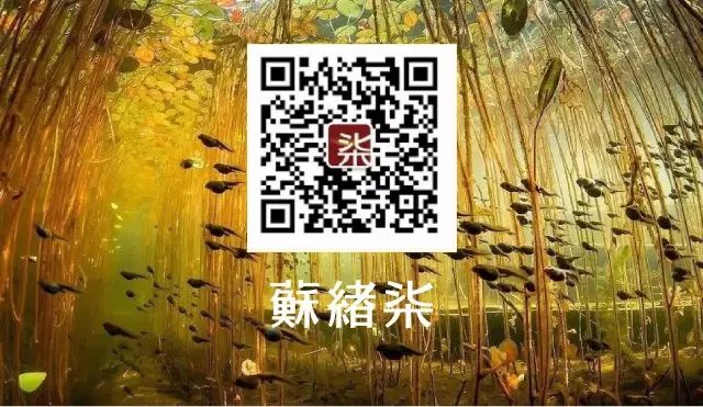 点击查看大图