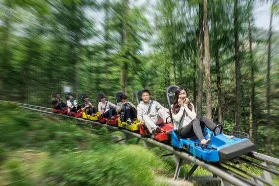 欢度国庆|游龟蒙送蒙山景区门票啦~_景区资讯