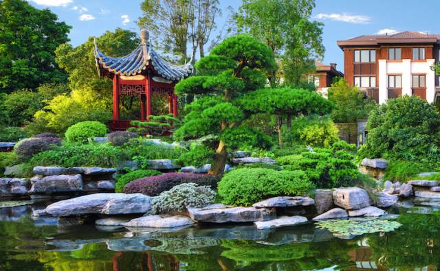点击查看大图