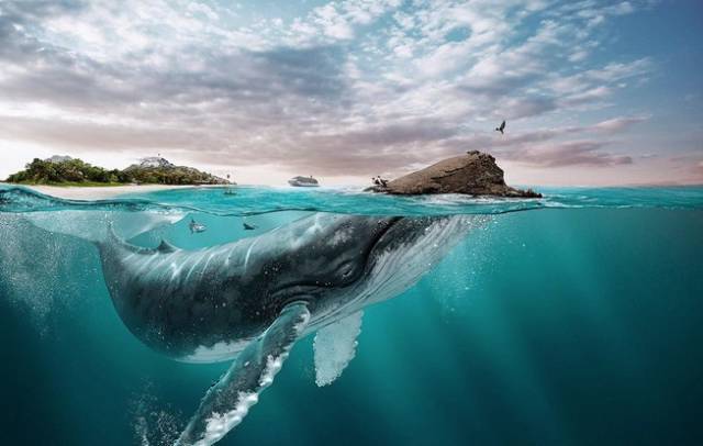 其实你不懂咪蒙的营销学 - 市场人物 市场部网