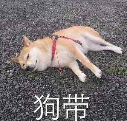 点击查看大图