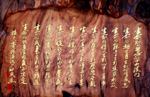 ��˵��ѵ-�ݽ���ѵ-�ڲ�ѵ��