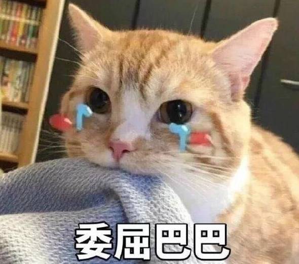 点击查看大图 点击查看大图