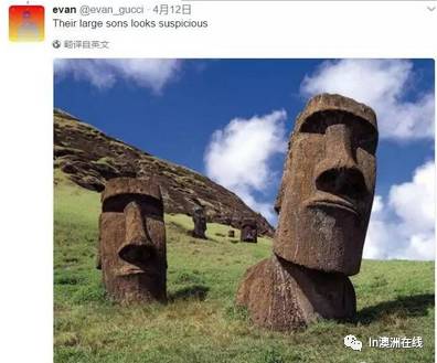 澳洲大妈亲眼见到了偷自己金条的嫌疑人！并亲手给Ballarat警方画出疑犯画像！然而网友看完画像后，忍不住了... - 31