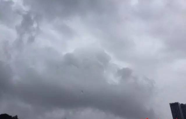 点击查看大图