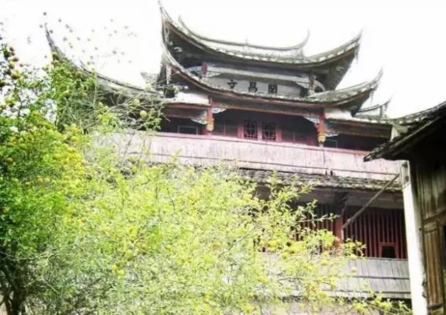 点击查看大图