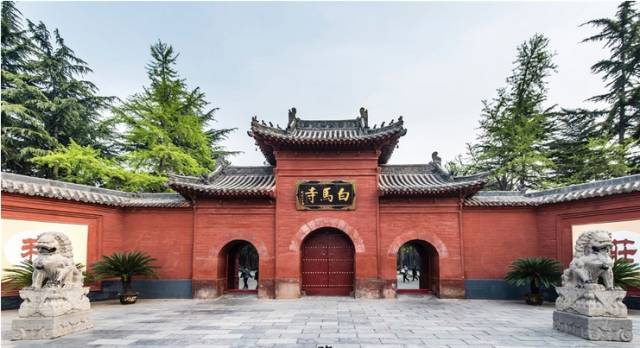 厉害了,我的大洛阳!万万没想到!全国各地竟有2