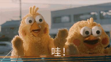 点击查看大图