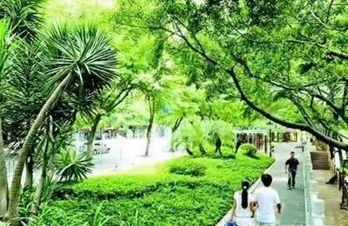 点击查看大图
