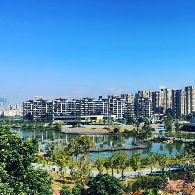 点击查看大图