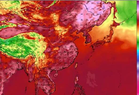 点击查看大图
