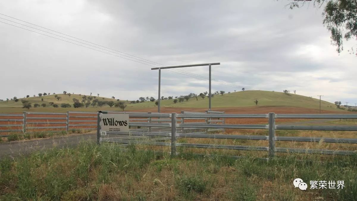 Willows农场被前任基金经理收购，价格高出预期 - 2