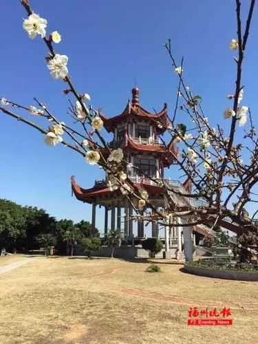 点击查看大图
