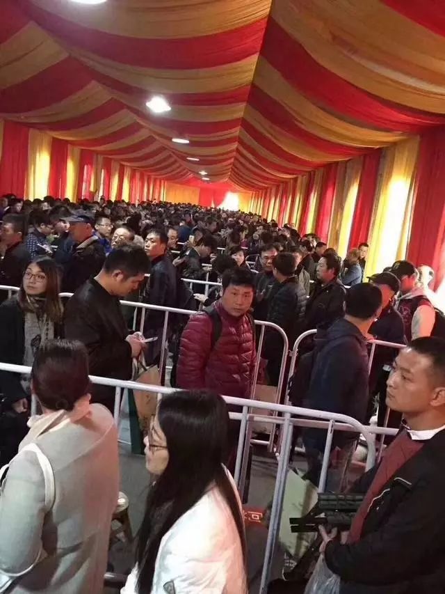 点击查看大图