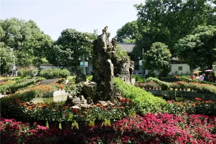 点击查看大图