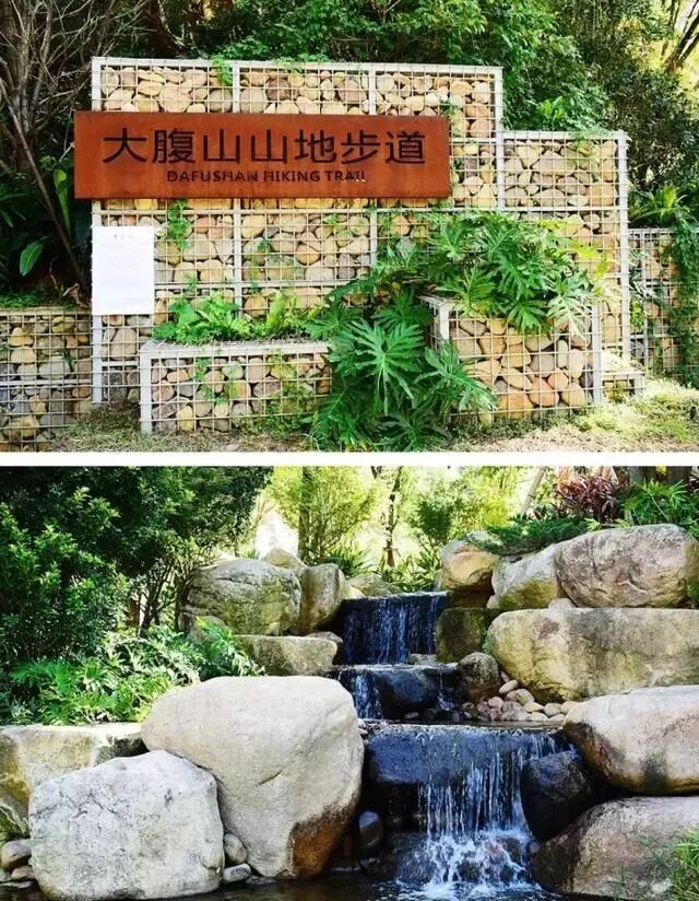 点击查看大图