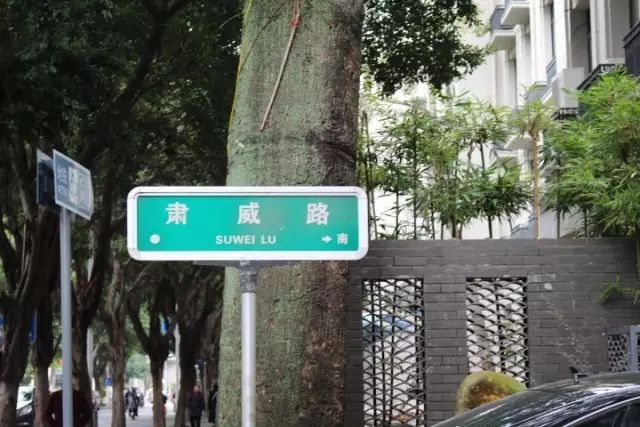 点击查看大图