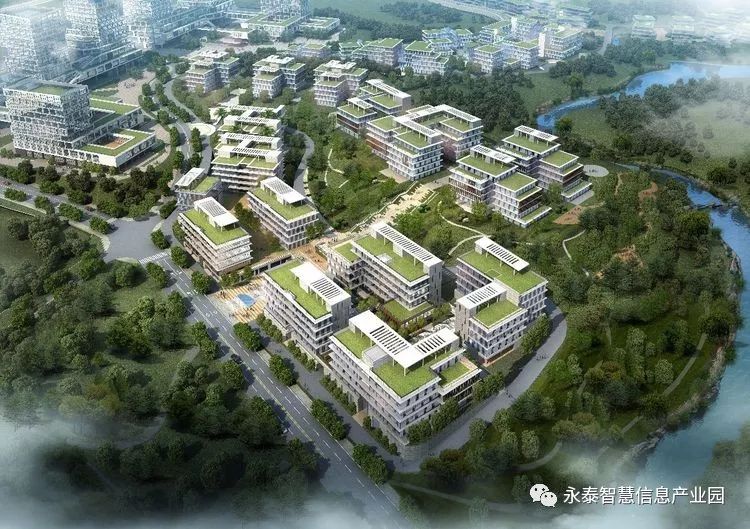点击查看大图