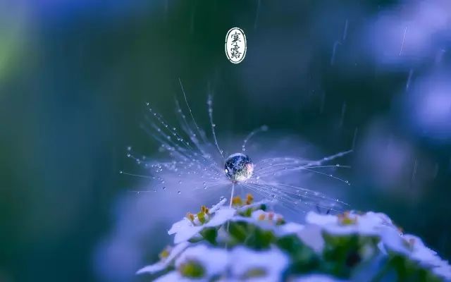 寒露节气 养生养胃正当时 | 健康资讯
