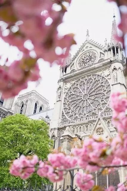 苏州法语等级考试