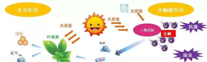 無光觸媒和光觸媒有什么區(qū)別？