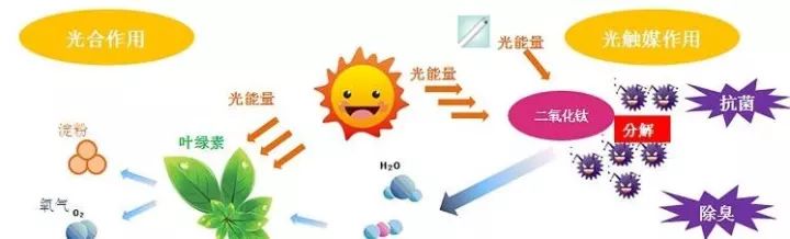 無(wú)光觸媒和光觸媒有什么區(qū)別？