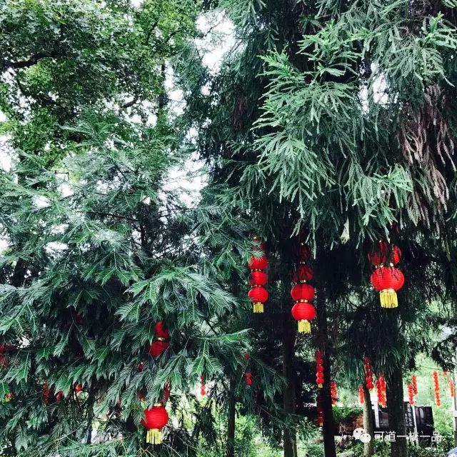幸福可道,幸福家 幸福可道,幸福家
