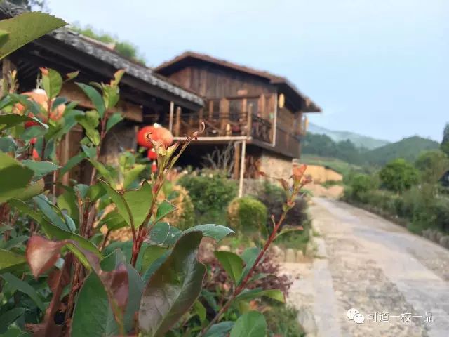 幸福可道,幸福家 幸福可道,幸福家