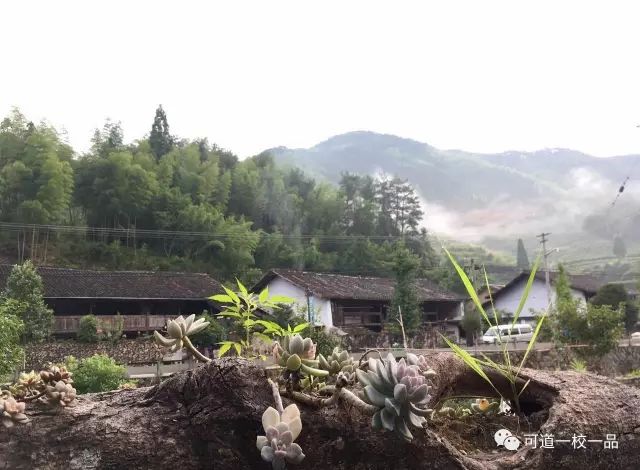 幸福可道,幸福家 幸福可道,幸福家