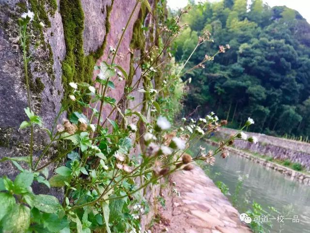 幸福可道,幸福家 幸福可道,幸福家