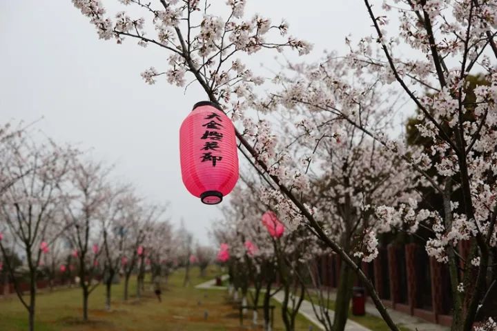 从大金常熟、淀川氟化工基地管理 看化工企业的社会责任