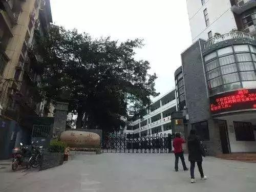 点击查看大图