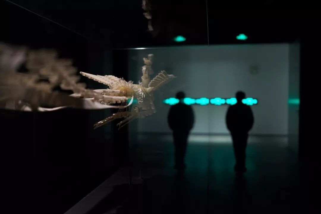 一个宿命论者的艺术观与行动逻辑
