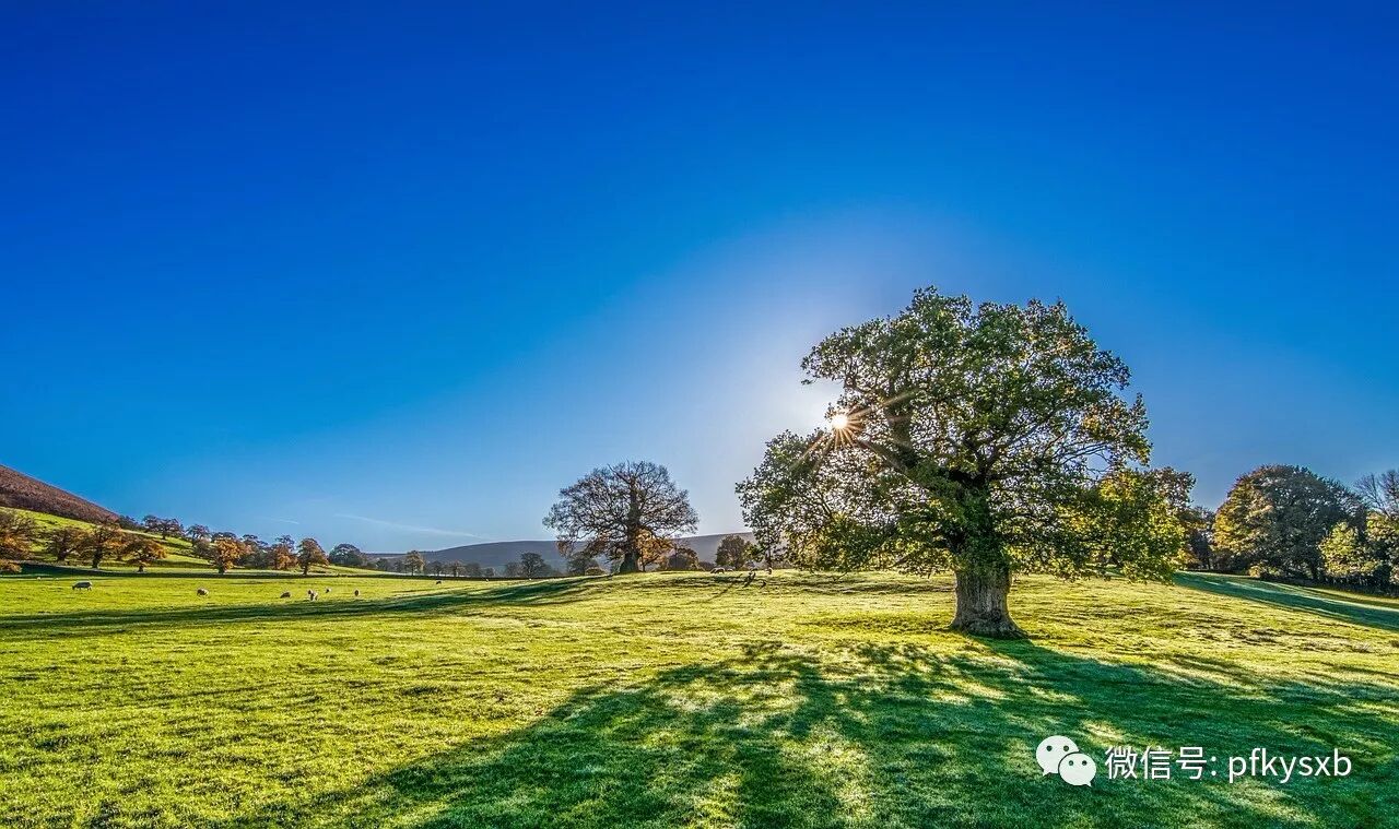 秋风起,银屑病科普问答20例 - 好大夫在线